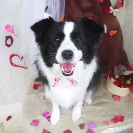 【山手店】2021年2月19日のワンちゃん達♪