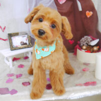 【山手店】2021年2月21日のワンちゃん達♪