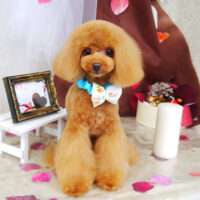 【山手店】2021年2月22日のワンちゃん達♪