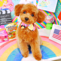 【山手店】2021年2月25日のワンちゃん達♪