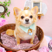 【池下店】2021年2月19日のワンちゃん達♪