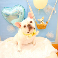 【池下店】2021年2月25日のワンちゃん達♪