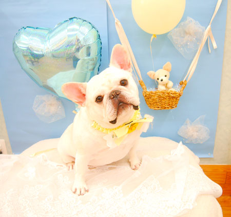 【池下店】2021年2月25日のワンちゃん達♪