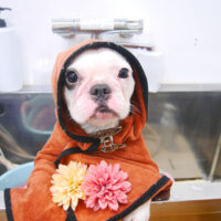 【池下店】2021年2月27日のワンちゃん達♪