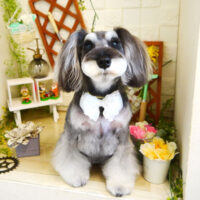 【本店】2021年3月25日のワンちゃん達♪