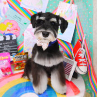 【山手店】2021年3月1日のワンちゃん達♪