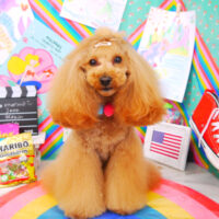 【山手店】2021年3月6日のワンちゃん達♪