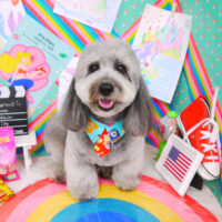 【山手店】2021年3月7日のワンちゃん達♪