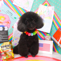 【山手店】2021年3月8日のワンちゃん達♪