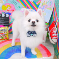 【山手店】2021年3月11日のワンちゃん達♪