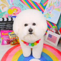 【山手店】2021年3月12日のワンちゃん達♪