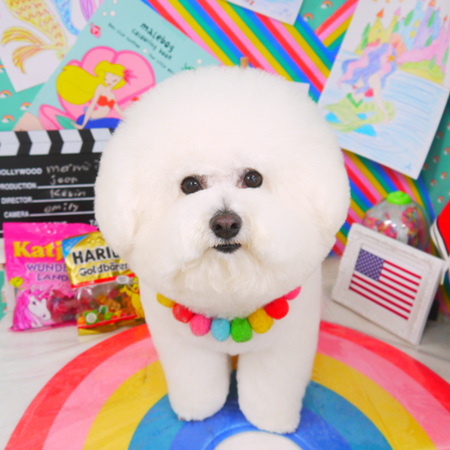 【山手店】2021年3月12日のワンちゃん達♪