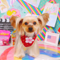 【山手店】2021年3月13日のワンちゃん達♪