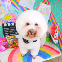 【山手店】2021年3月15日のワンちゃん達♪