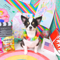 【山手店】2021年3月20日のワンちゃん達♪