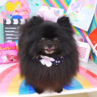 【山手店】2021年3月21日のワンちゃん達♪