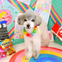 【山手店】2021年3月22日のワンちゃん達♪