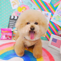 【山手店】2021年3月24日のワンちゃん達♪