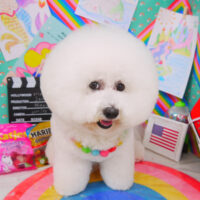 【山手店】2021年3月26日のワンちゃん達♪