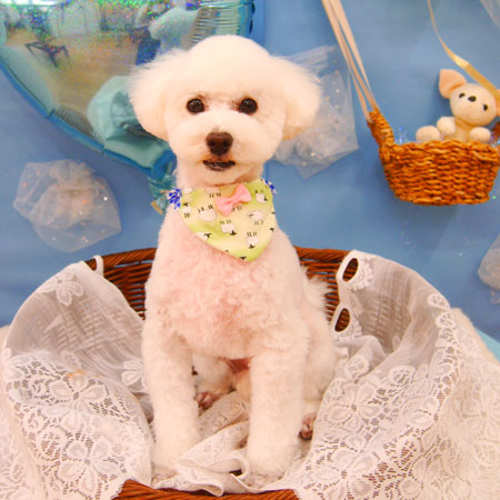 【池下店】2021年3月15日のワンちゃん達♪