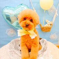 【池下店】2021年3月19日のワンちゃん達♪