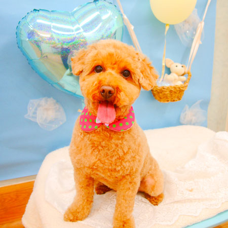 【池下店】2021年3月21日のワンちゃん達♪