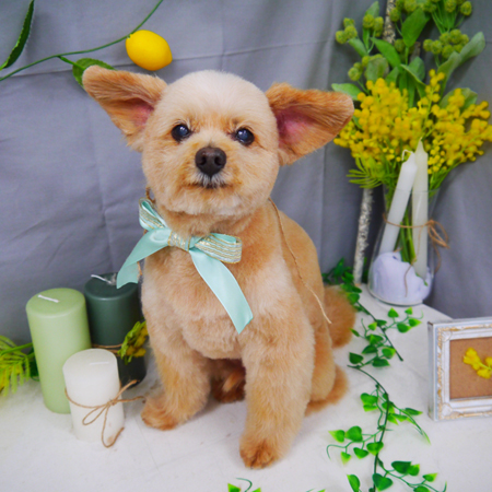 【山手店】2021年4月4日のワンちゃん達♪