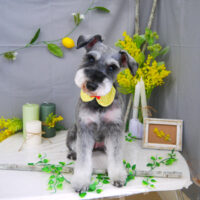 【山手店】2021年4月5日のワンちゃん達♪