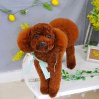 【山手店】2021年4月8日のワンちゃん達♪