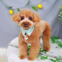 【山手店】2021年4月24日のワンちゃん達♪