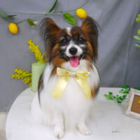 【山手店】2021年4月25日のワンちゃん達♪