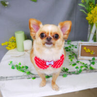 【山手店】2021年4月29日のワンちゃん達♪