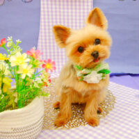 【池下店】2021年4月30日のワンちゃん達♪