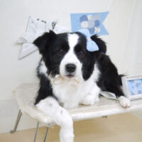 【山手店】2021年5月2日のワンちゃん達♪