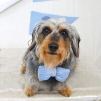 【山手店】2021年5月7日のワンちゃん達♪