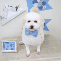 【山手店】2021年5月8日のワンちゃん達♪