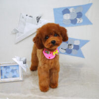 【山手店】2021年5月9日のワンちゃん達♪