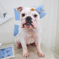 【山手店】2021年5月10日のワンちゃん達♪