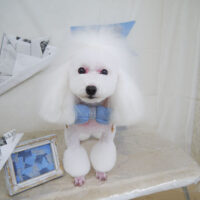 【山手店】2021年5月13日のワンちゃん達♪