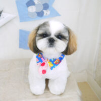 【山手店】2021年5月15日のワンちゃん達♪