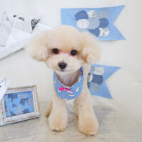 【山手店】2021年5月22日のワンちゃん達♪