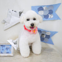 【山手店】2021年5月23日のワンちゃん達♪