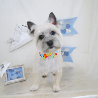 【山手店】2021年5月26日のワンちゃん達♪