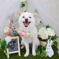 【山手店】2021年5月28日のワンちゃん達♪