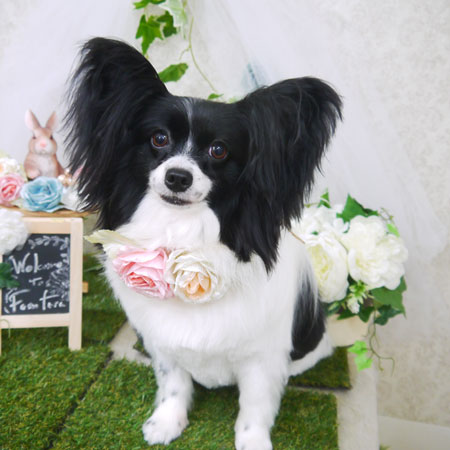 【山手店】2021年5月29日のワンちゃん達♪