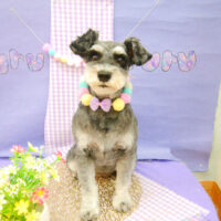 【池下店】2021年5月10日のワンちゃん達♪