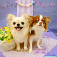 【池下店】2021年5月13日のワンちゃん達♪