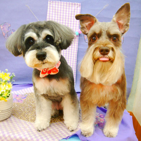 【池下店】2021年5月15日のワンちゃん達♪