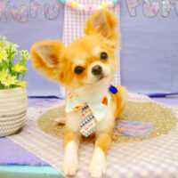 【池下店】2021年5月24日のワンちゃん達♪