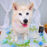 【池下店】2021年5月29日のワンちゃん達♪